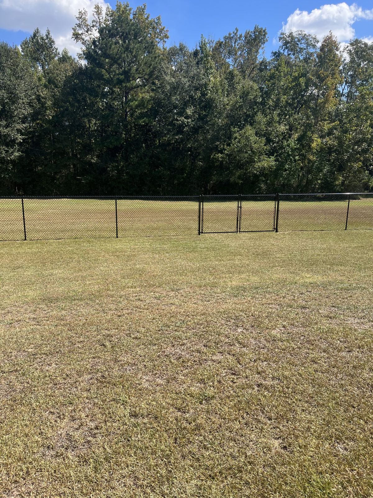 Fenced rear yard and wooded back acreage